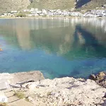 Aglaia